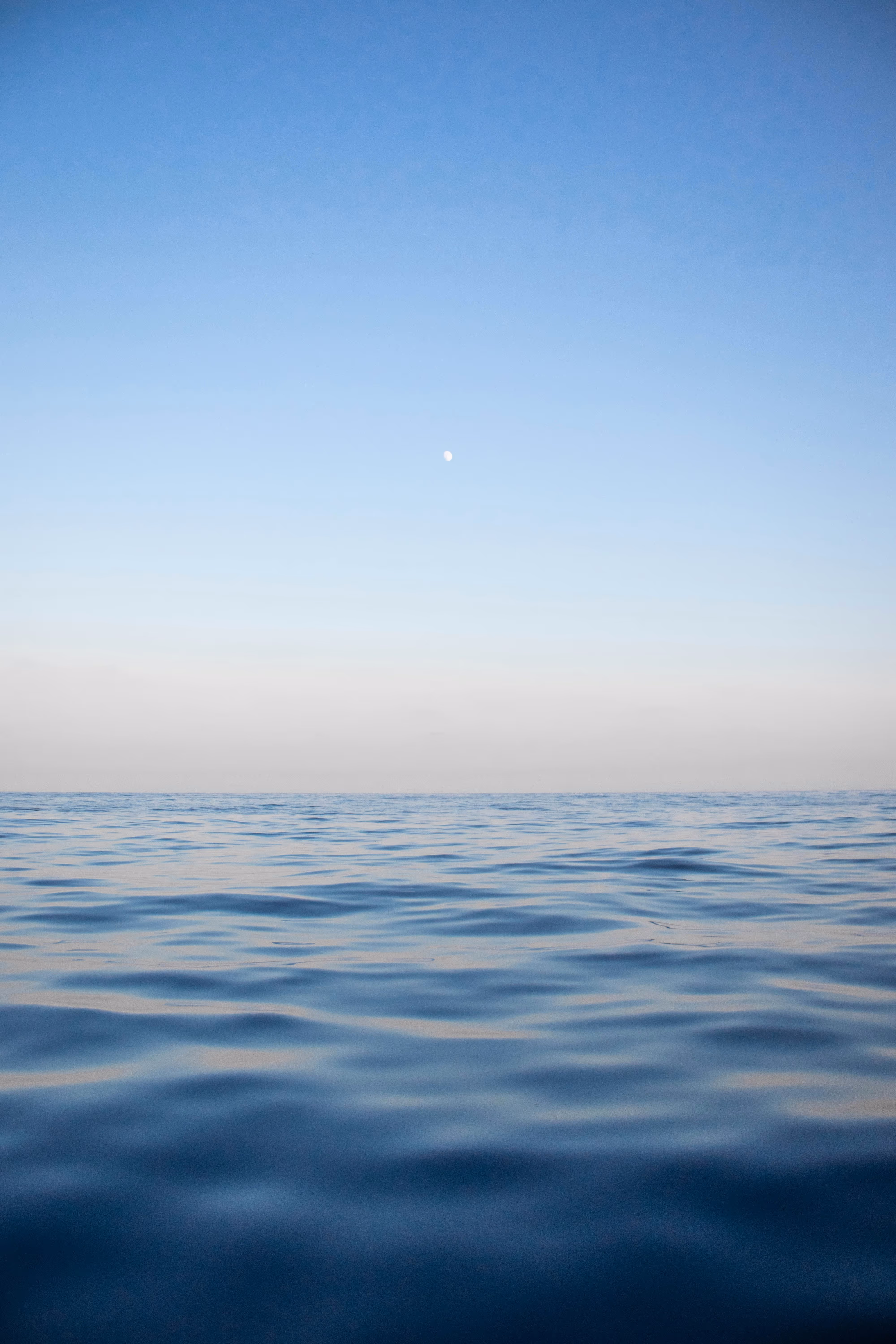 ocean