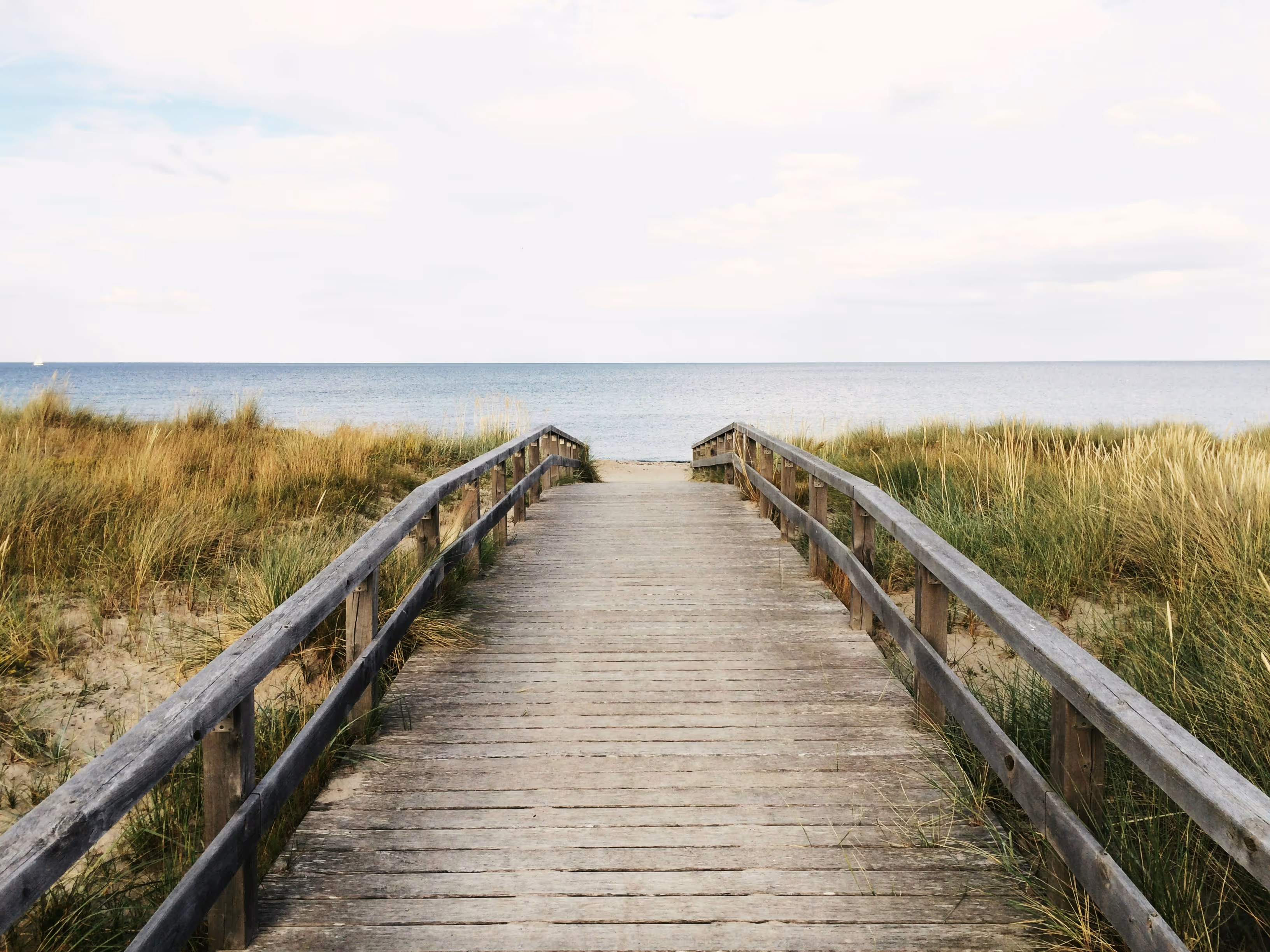 Personalized Path to the Perfect Therapist
