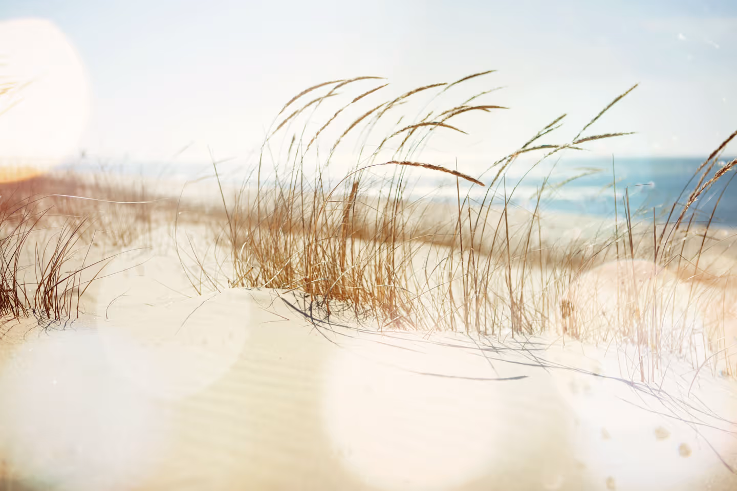 beach sand