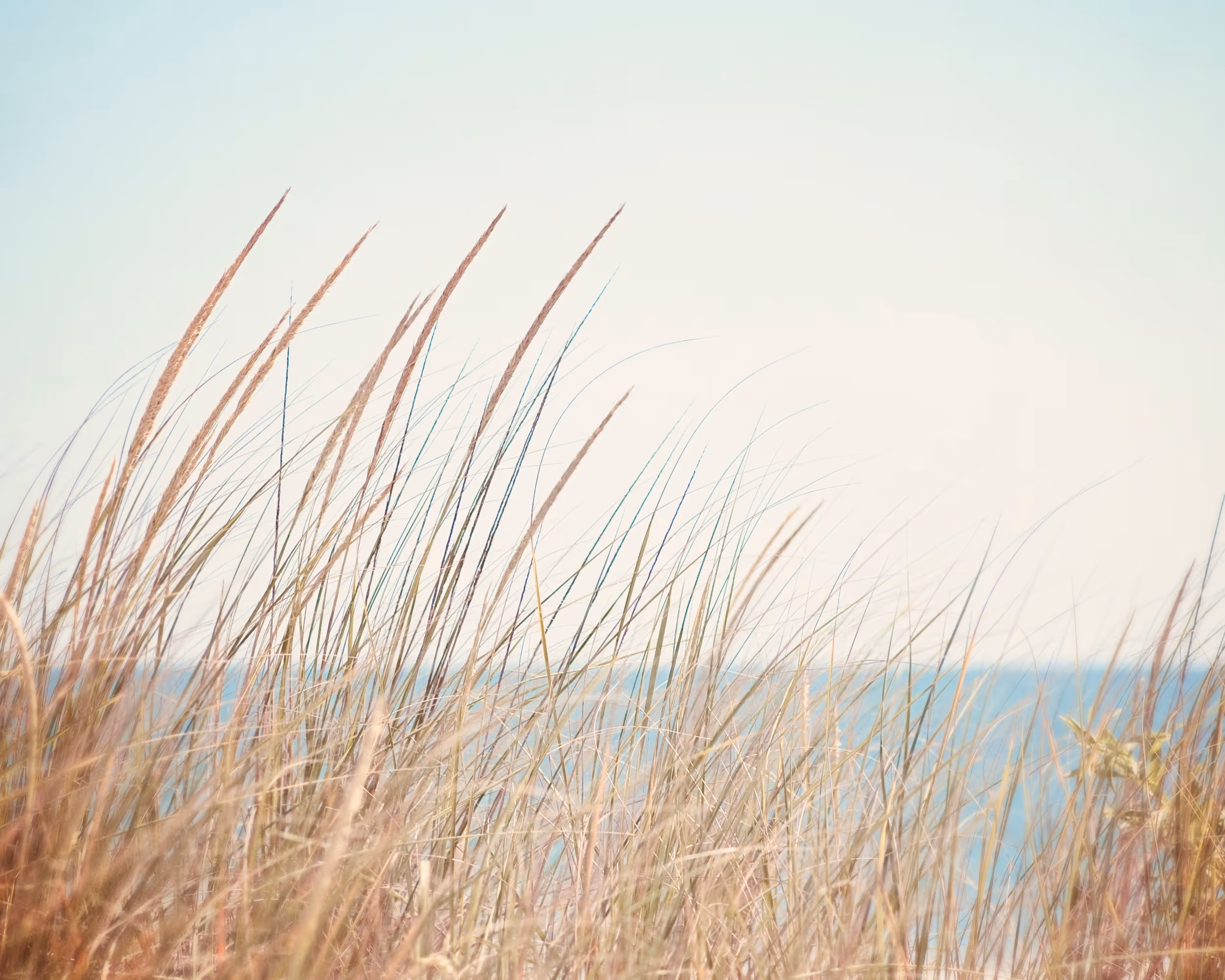 Westport Family Consultants